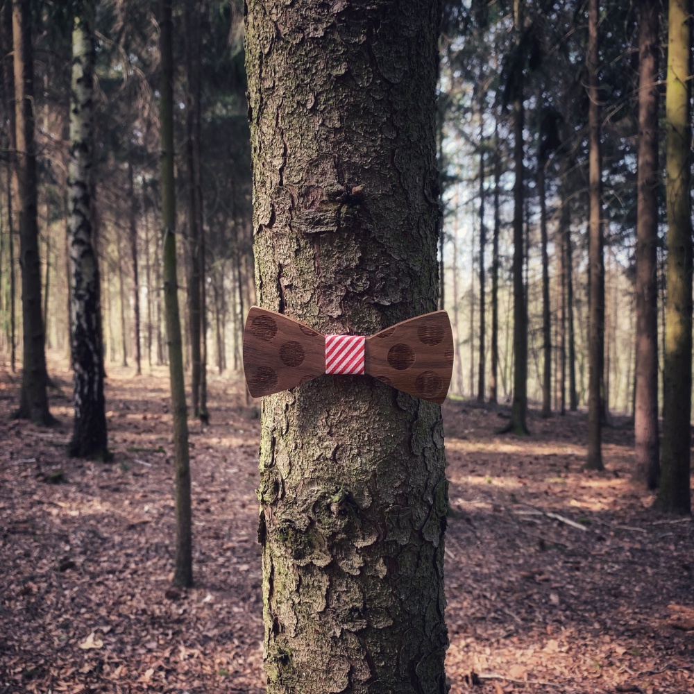 Dřevěný pánský motýlek Puntík Pruhy červeno - bílé