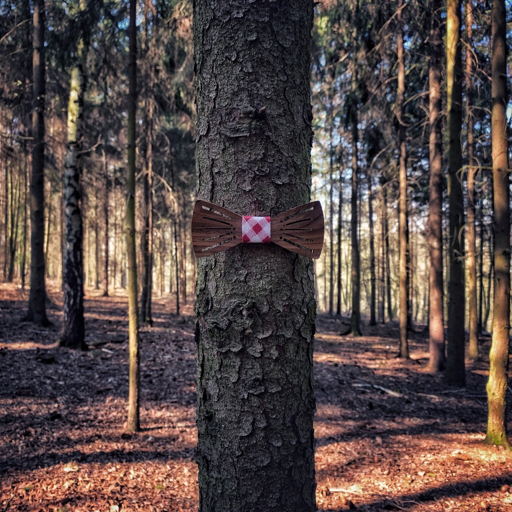 Dřevěný pánský motýlek Cross Cube 