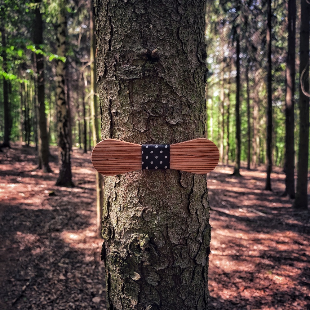 Dřevěný pánský motýlek Mahoosive Lollipop - dot 