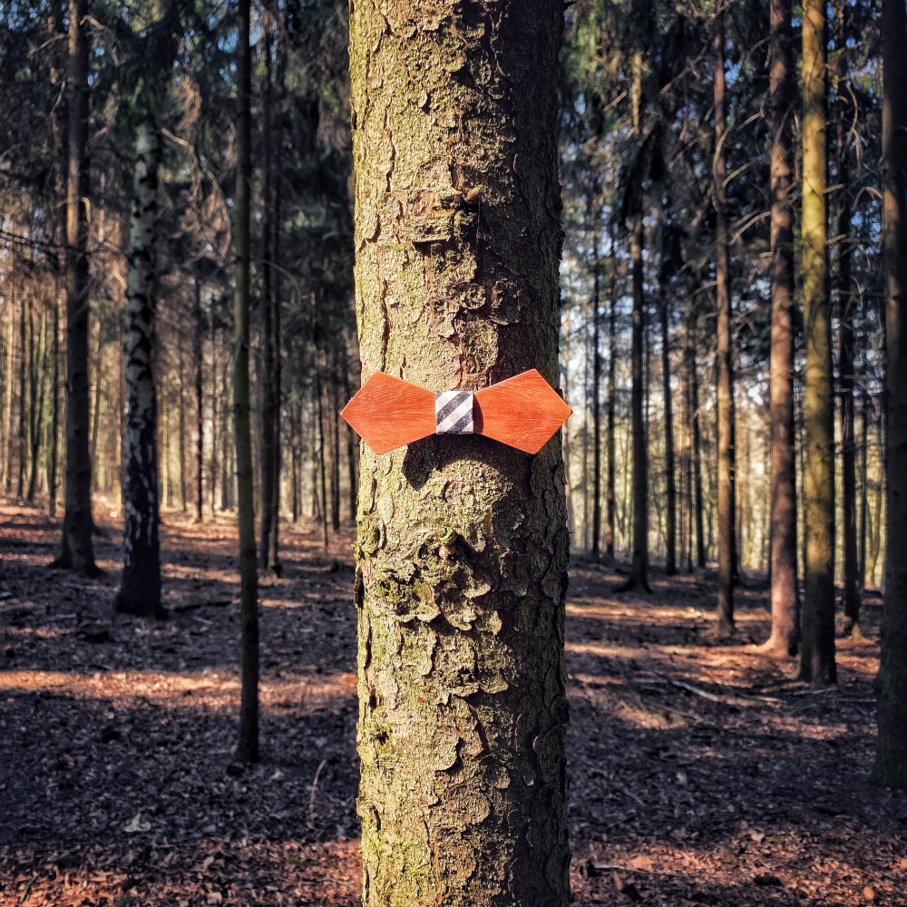 Dřevěný pánský motýlek Mahoosive Hexagon - BLK/WHT kostka 