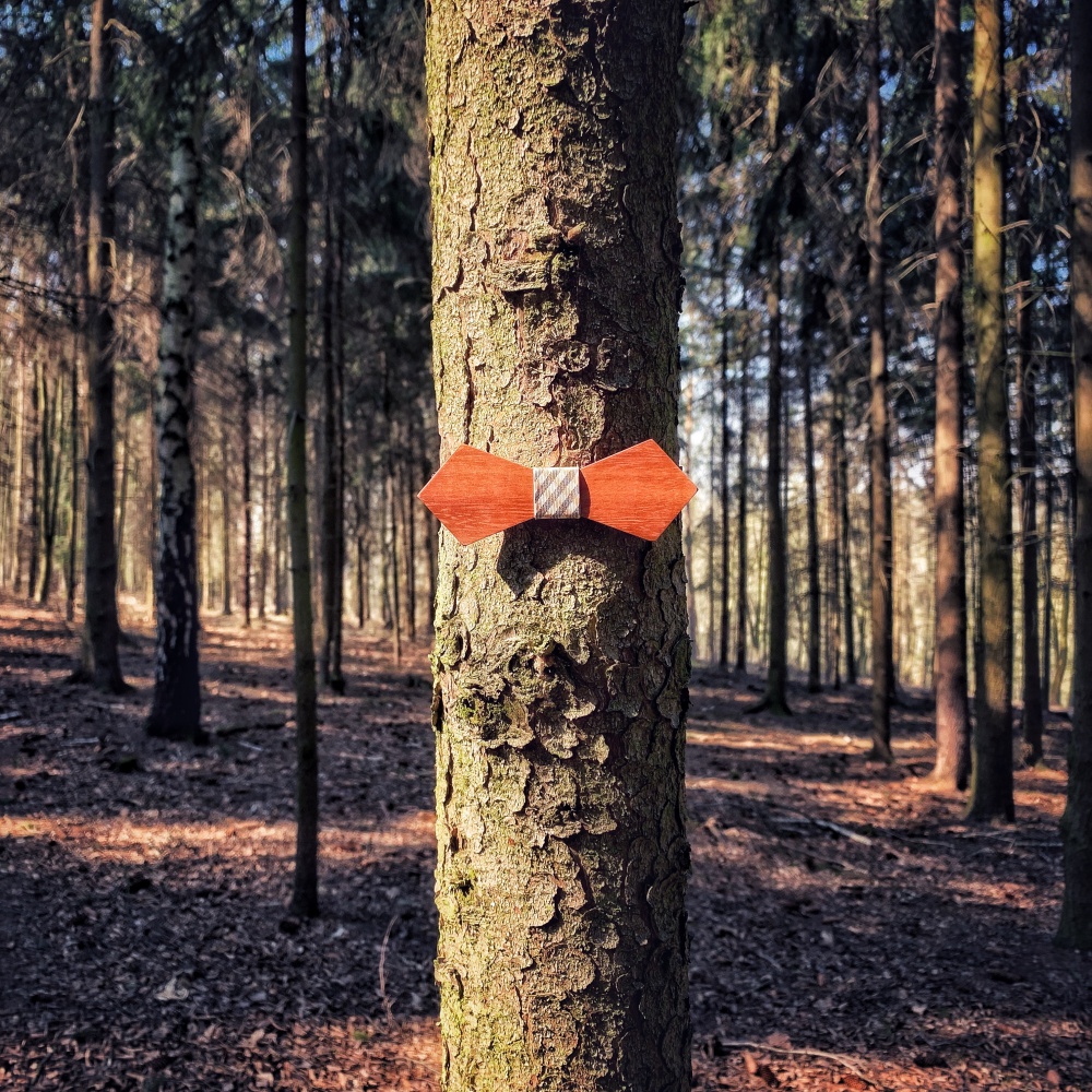 Dřevěný pánský motýlek Mahoosive Hexagon - check 