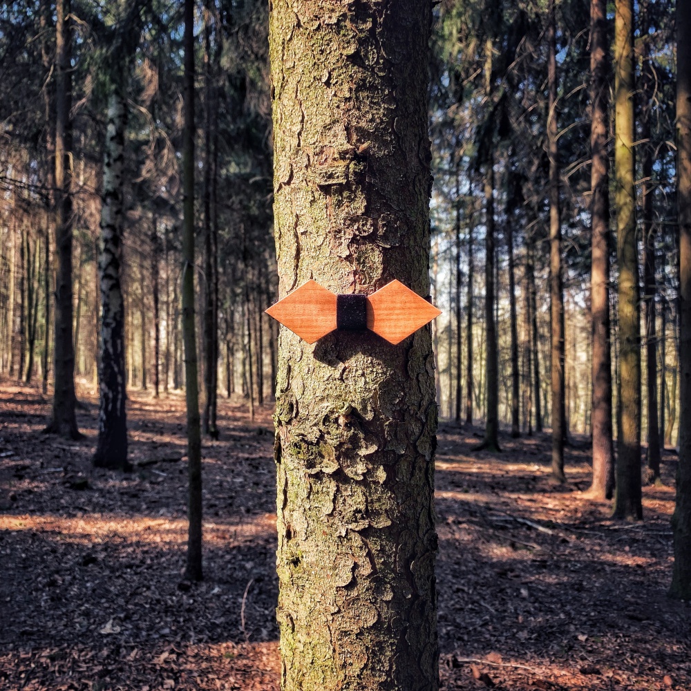 Dřevěný pánský motýlek Mahoosive Sharp - black