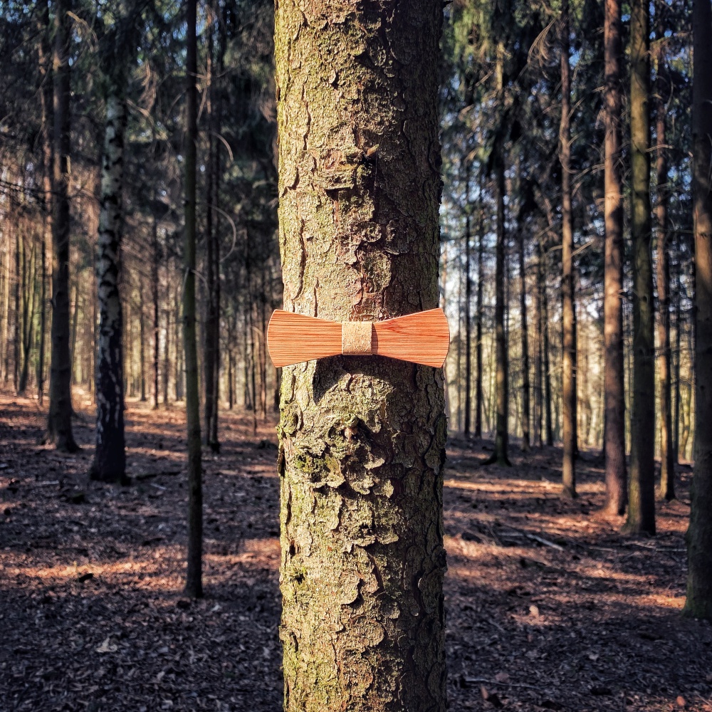 Dřevěný pánský motýlek Mahoosive Longer - korek 