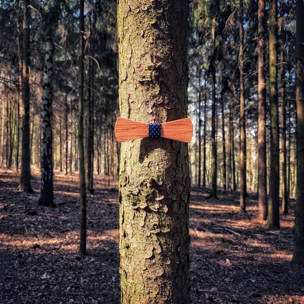 Dřevěný pánský motýlek Mahoosive Longer - x