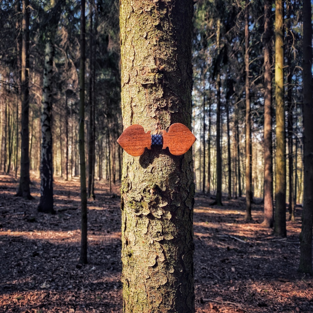 Dřevěný pánský motýlek Mahoosive Pikové eso X