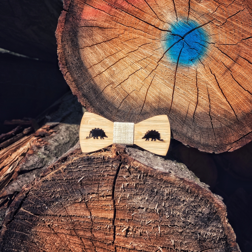 Chlapecký dřevěný motýlek Stegosaurus 