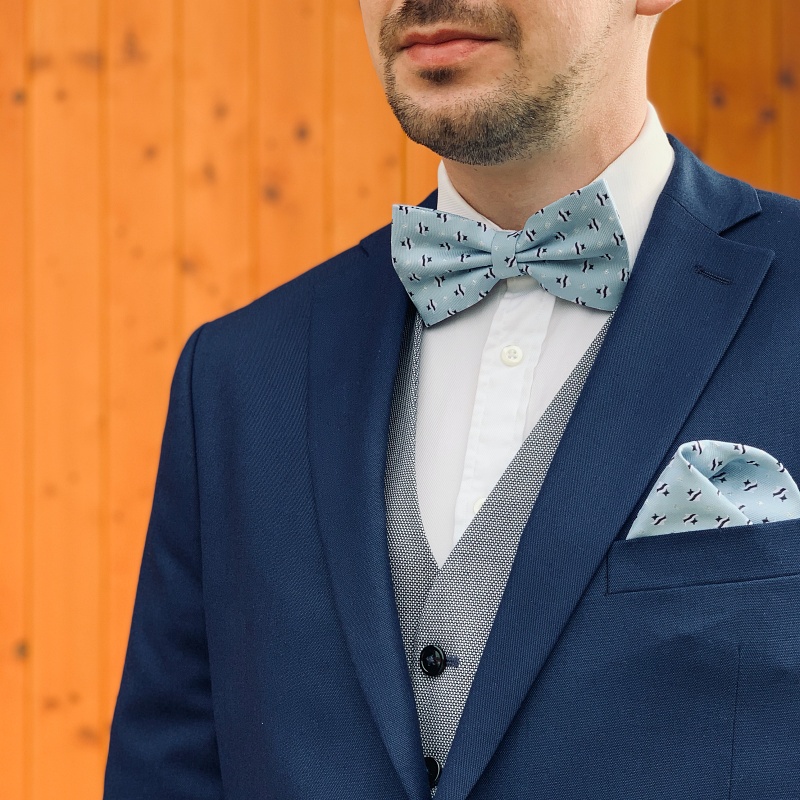 Modrý motýlek Tropické ryby 