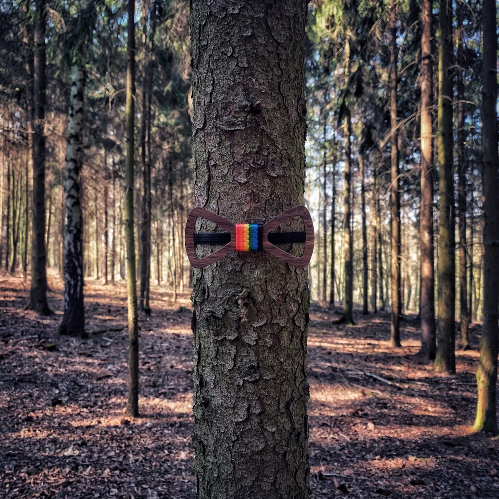 Dřevěný pánský motýlek Vrtule LGBT 