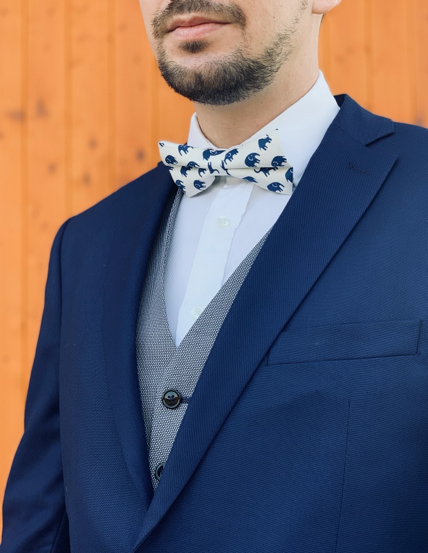 Bílo - modrý motýlek Slon 