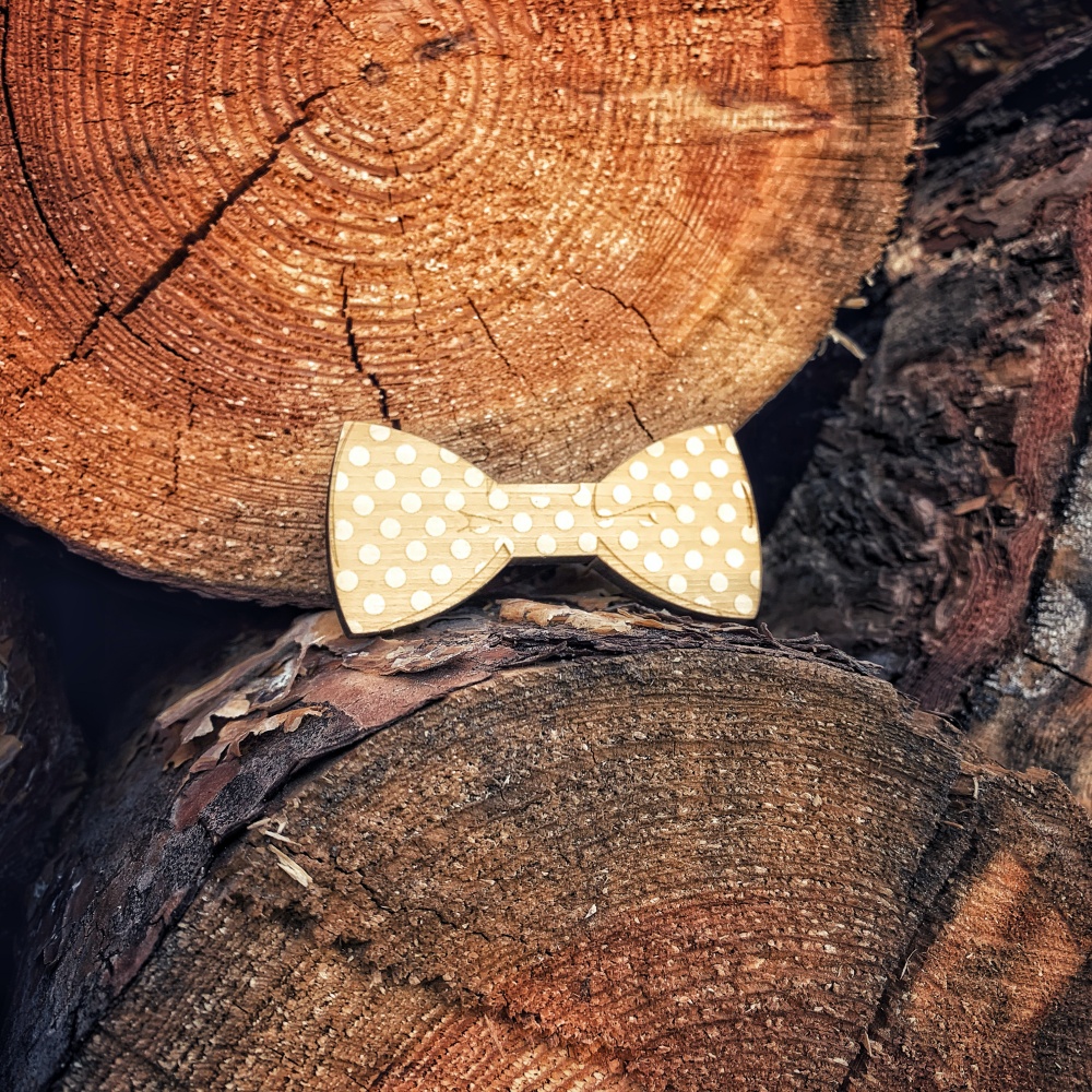 Chlapecký dřevěný motýlek Magnetic Dots 