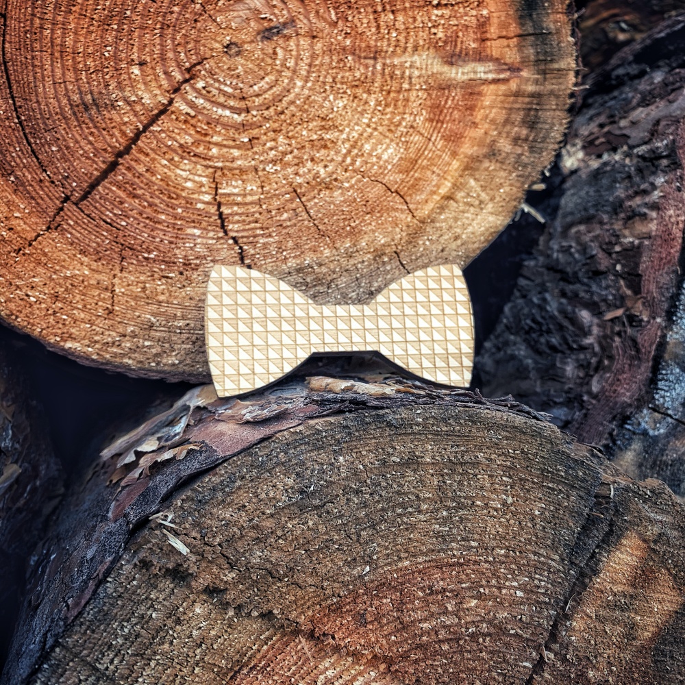 Chlapecký dřevěný motýlek Magnetic Triangle 