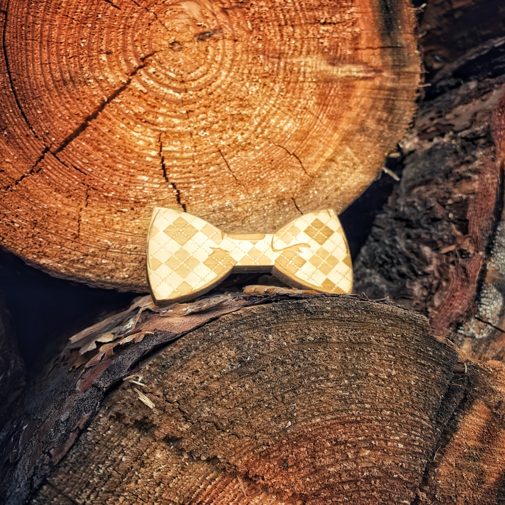 Chlapecký dřevěný motýlek Magnetic Plaid 