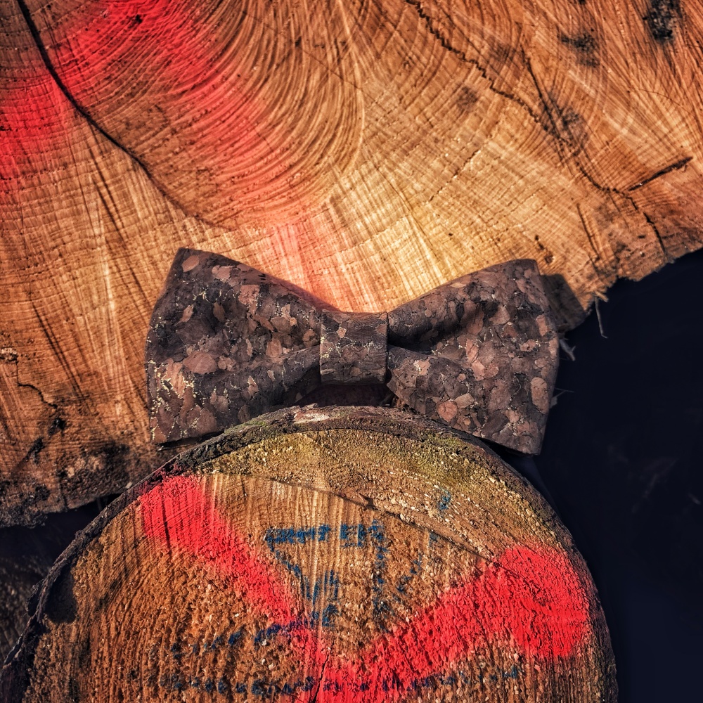 Pánský motýlek Korek Gold 