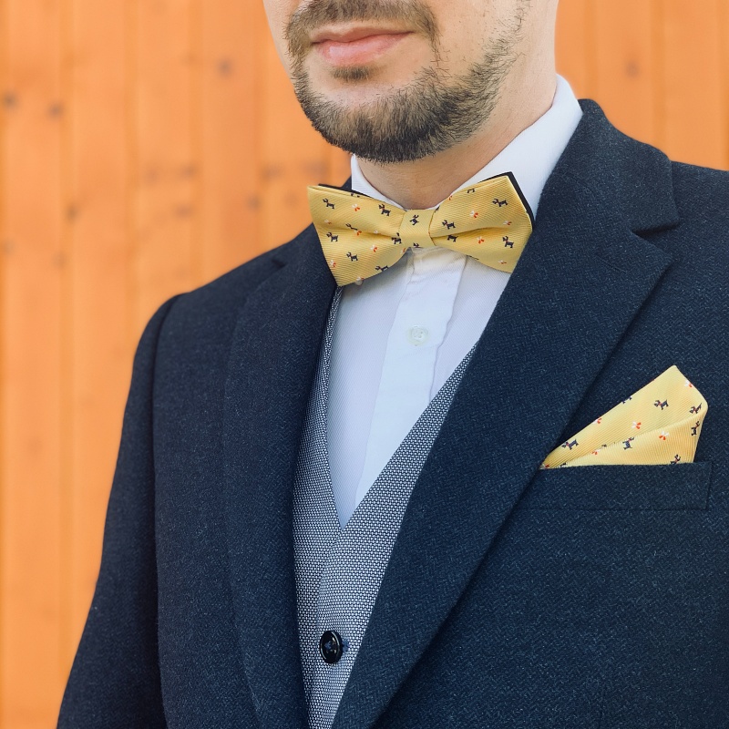 Žlutý set - motýlek + kapesník + manžetové knoflíčky Pes