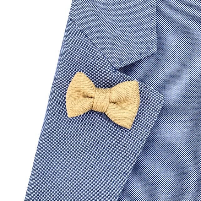 Zlatá brož Motýlek