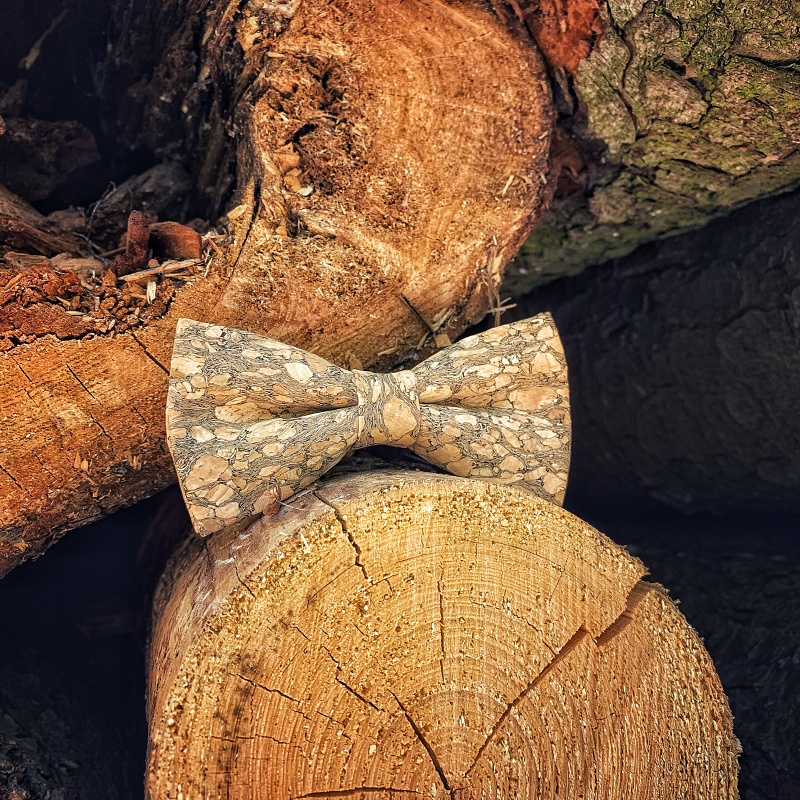 Pánský motýlek Korek River