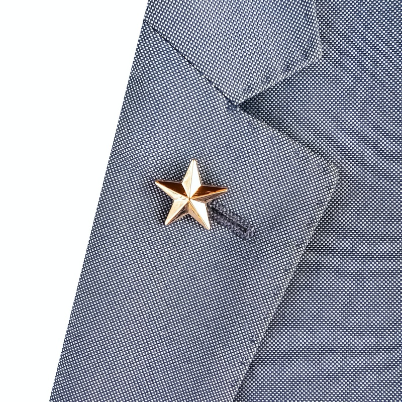 Zlatá brož Hvězda 