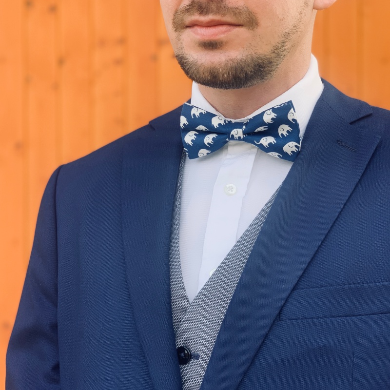 Modro - bílý motýlek Slon 