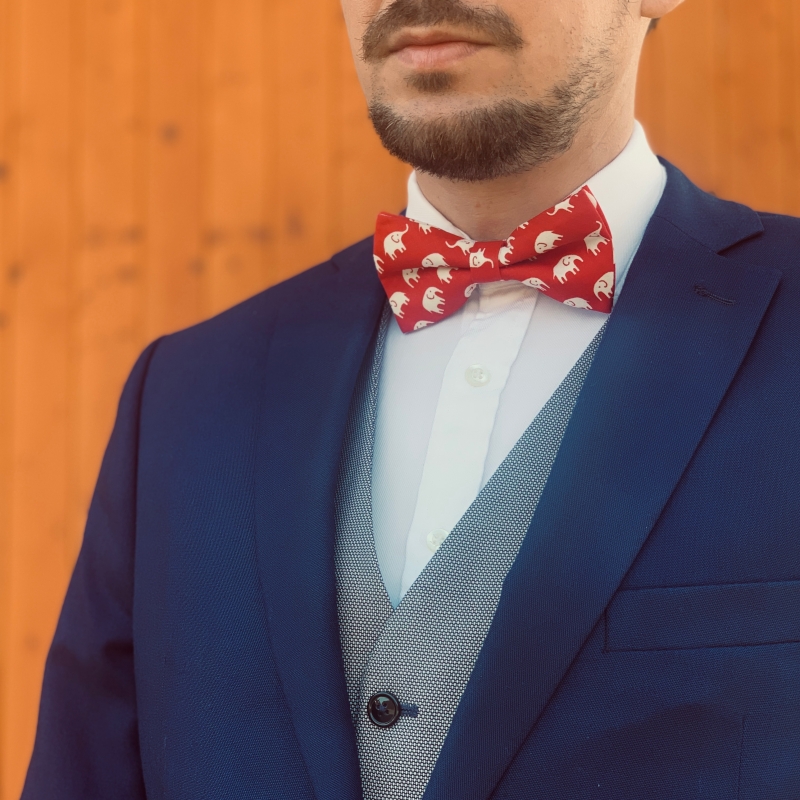 Červeno - bílý motýlek Slon 