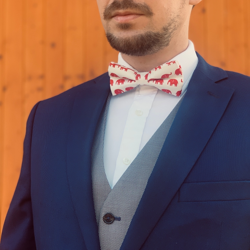 Bílo - červený motýlek Slon 