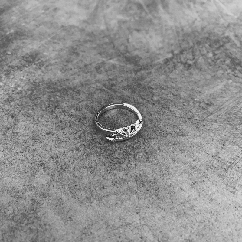 Stříbrný prsten Křídlo a šíp 