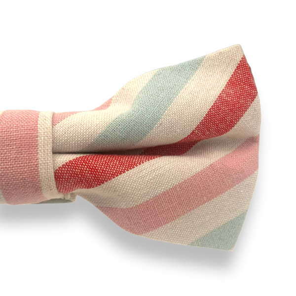 Barevný motýlek Cotton Pruhy