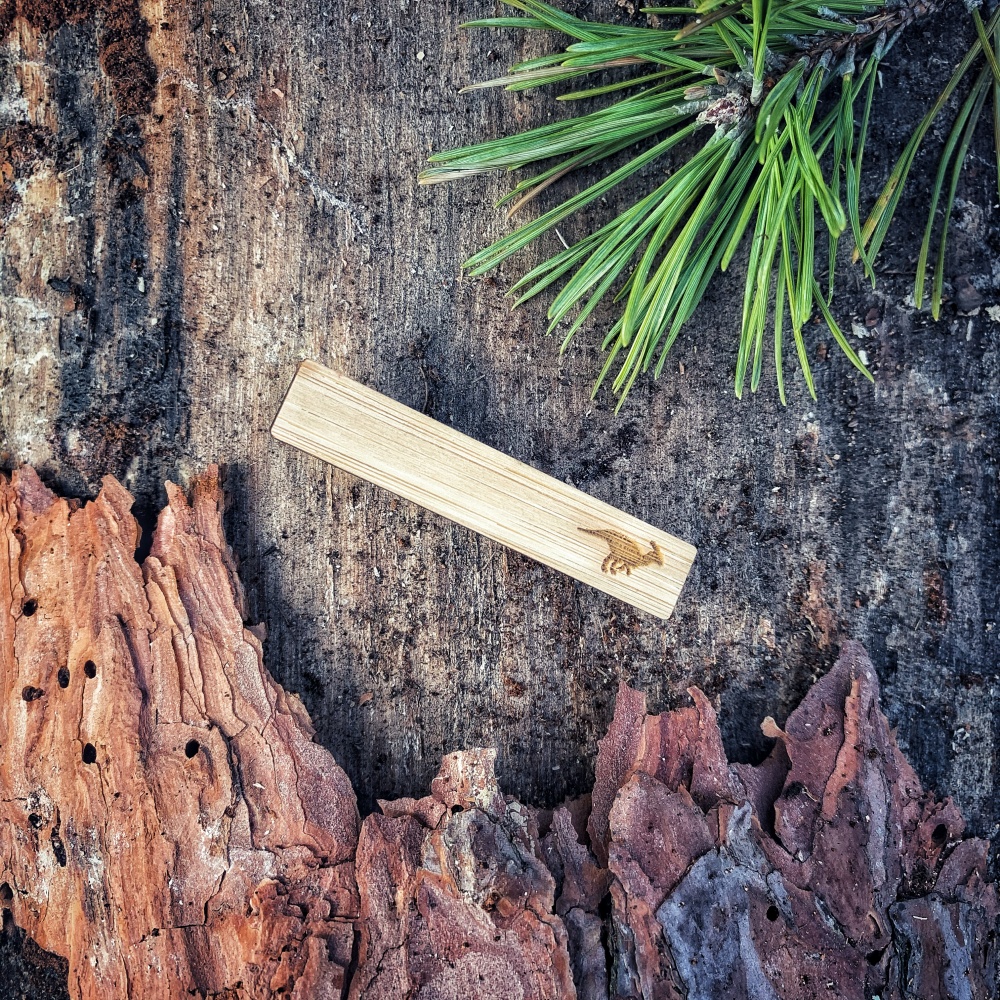 Dřevěná spona na kravatu Dinosaurus Coelophysis