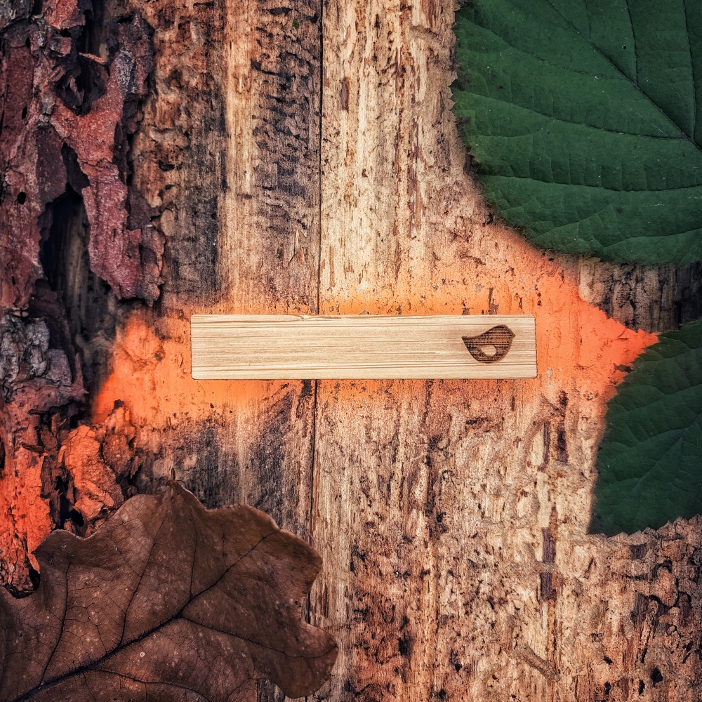 Dřevěná spona na kravatu Ptáček