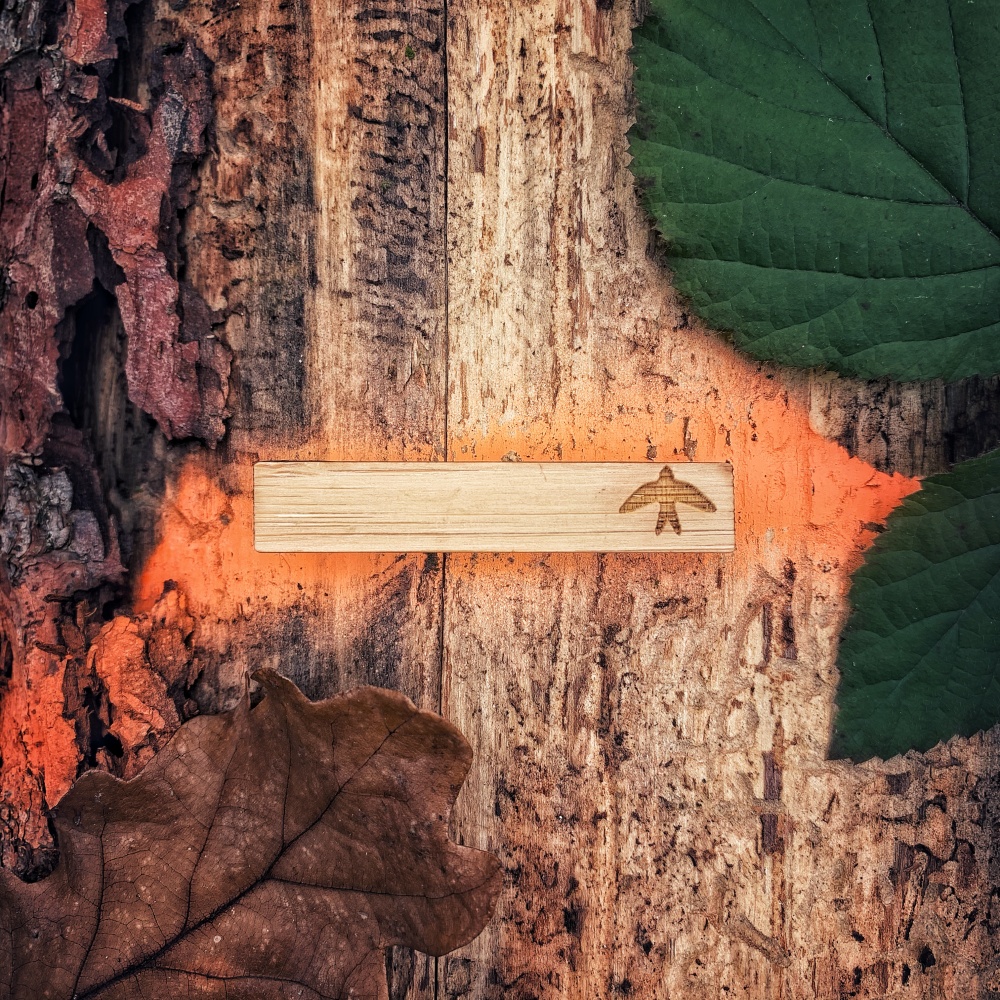 Dřevěná spona na kravatu Vlaštovka letí