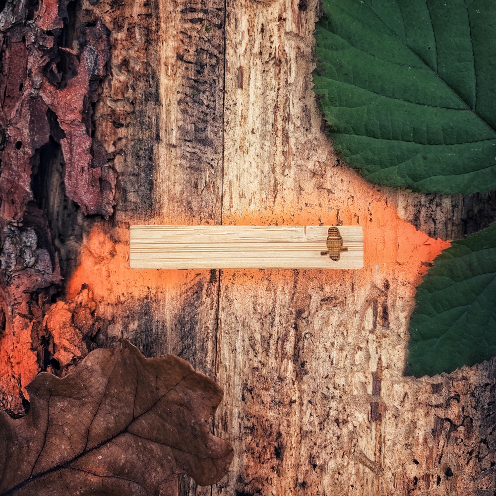 Dřevěná spona na kravatu Sova na větvi