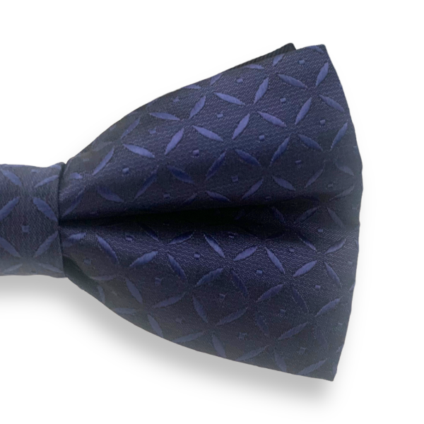 Modrý motýlek Hvězdy