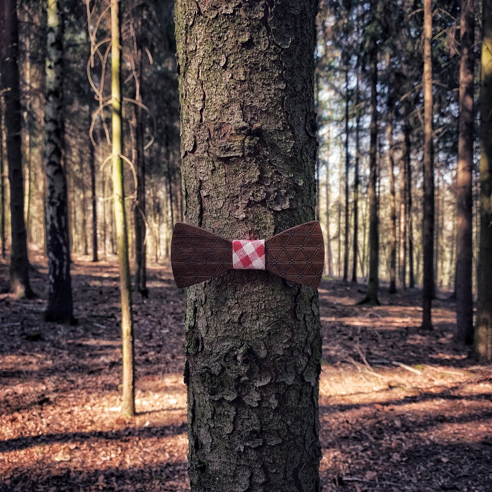 Dřevěný pánský motýlek Triangle Kostky 