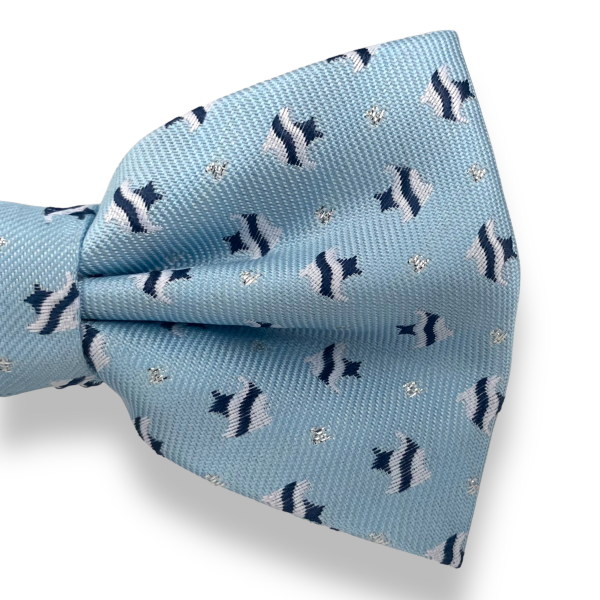 Chlapecký motýlek Tropická ryba 