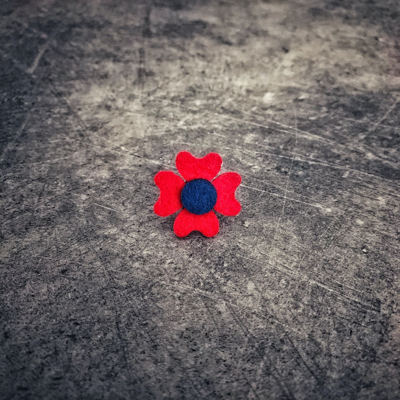 Červeno - modrá brož Čtyřlístek Plsť