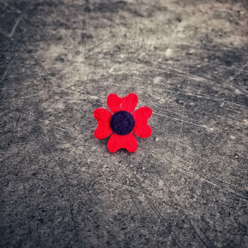 Červeno - fialová brož Čtyřlístek Plsť