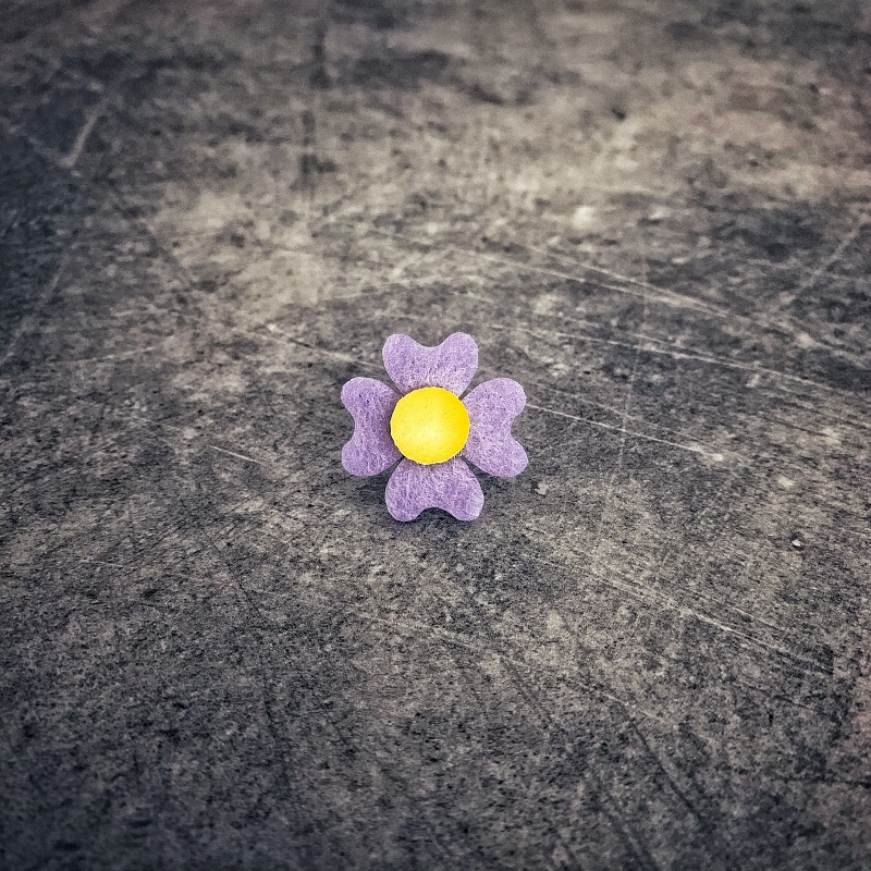 Fialovo - žlutá brož Čtyřlístek Plsť