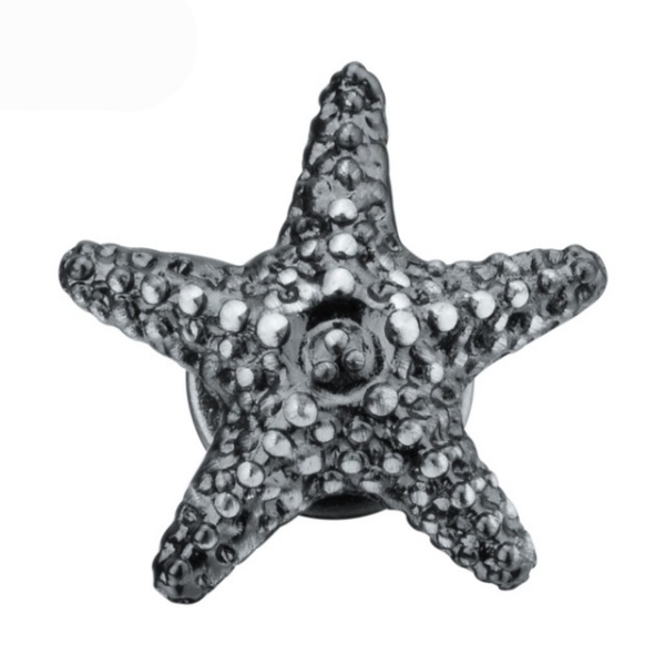 Brož Mořská hvězdice 