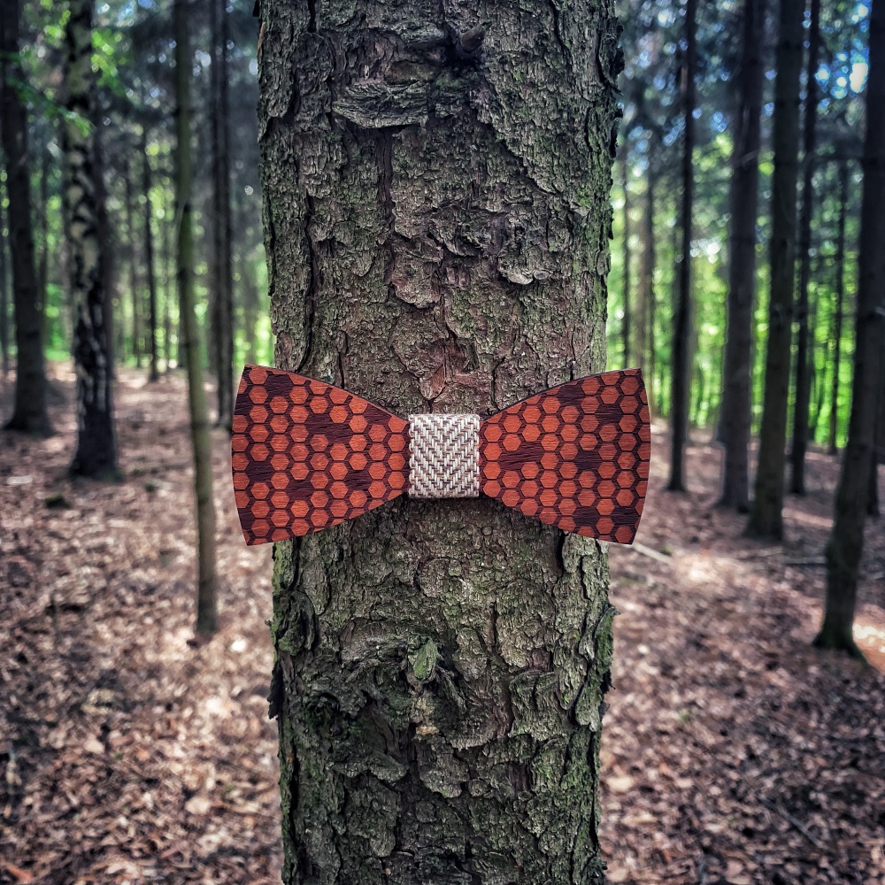 Dřevěný pánský motýlek Bee line 