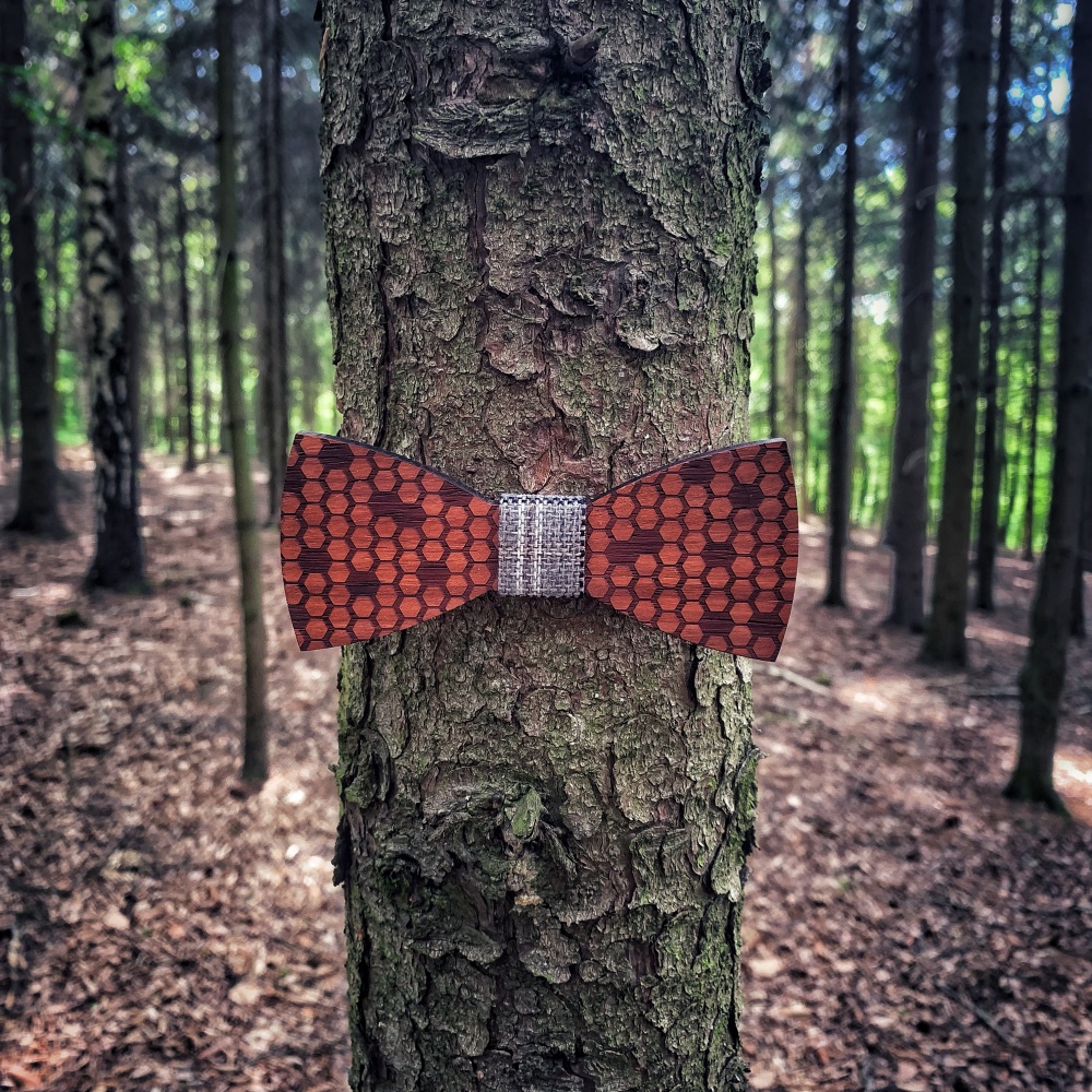 Dřevěný pánský motýlek Bee grey