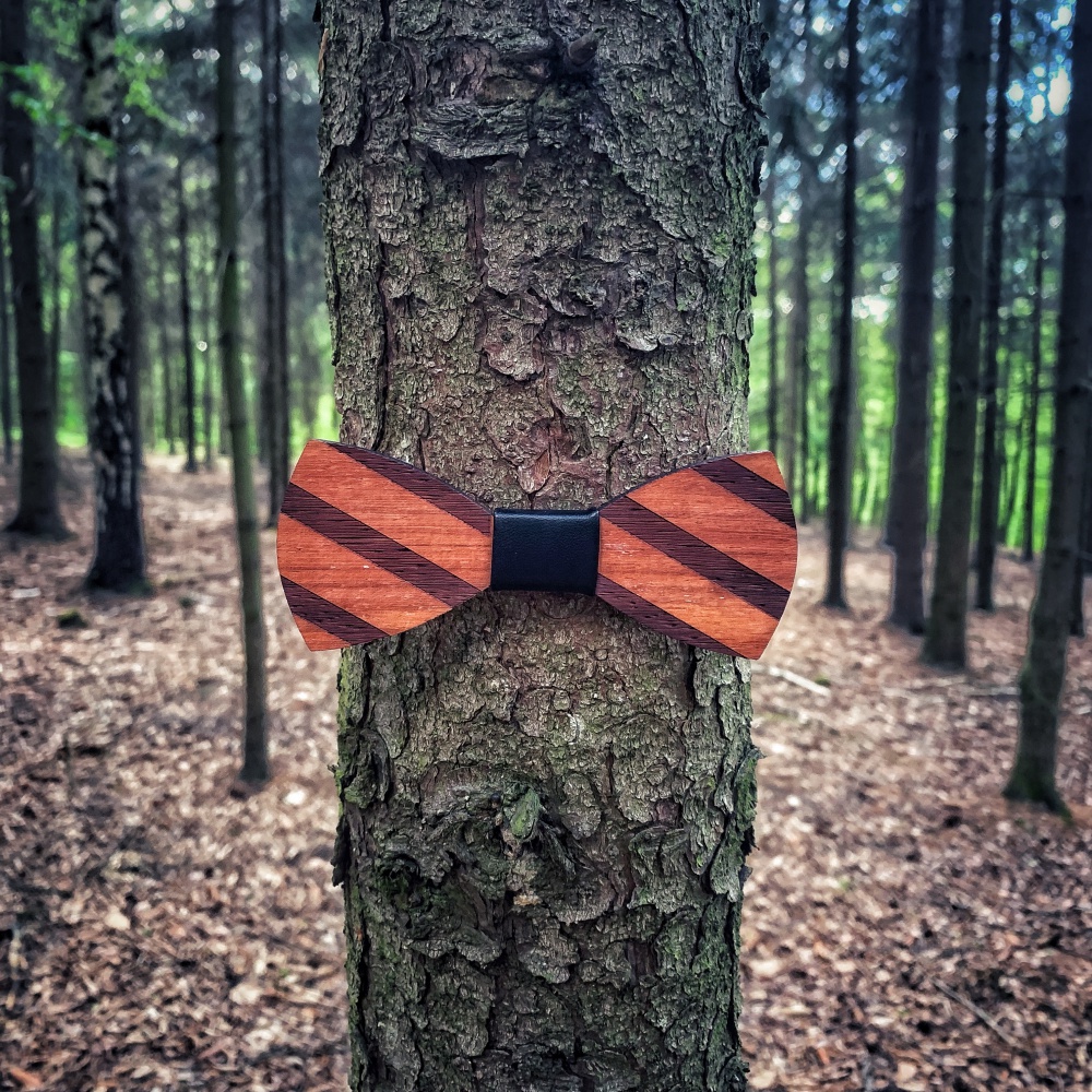 Dřevěný pánský motýlek Stripe leather 