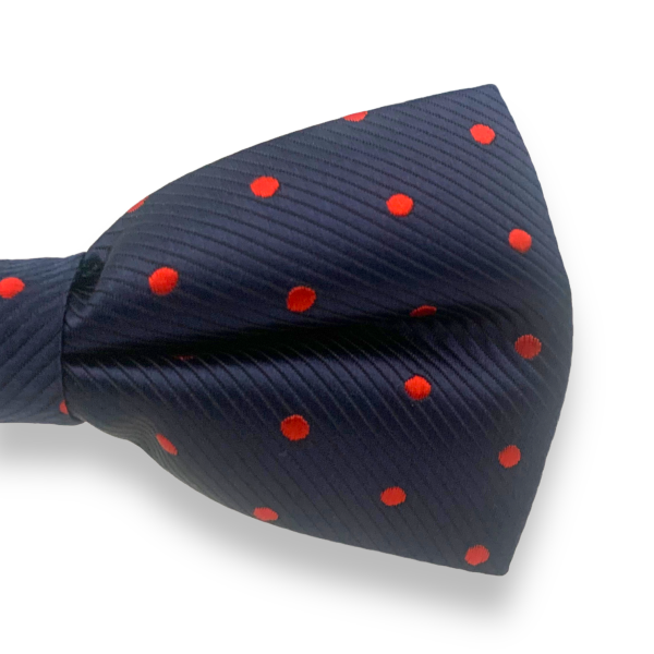 Motýlek Puntík VI.