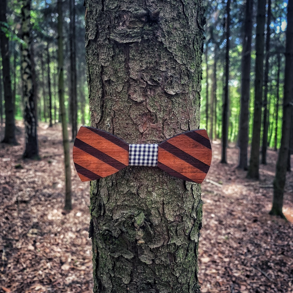 Dřevěný pánský motýlek Stripe check
