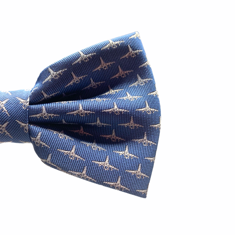 Modrý motýlek Letadla 