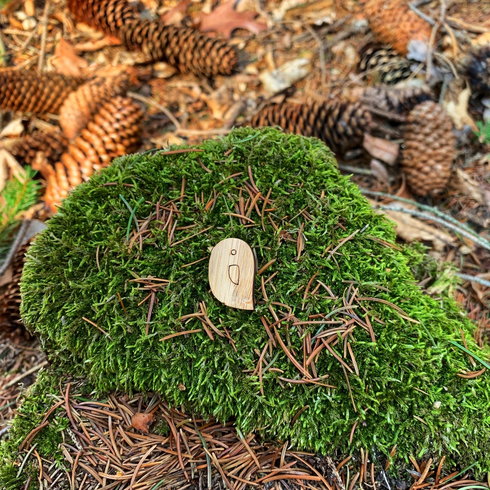 Dřevěná brož Ptáček 