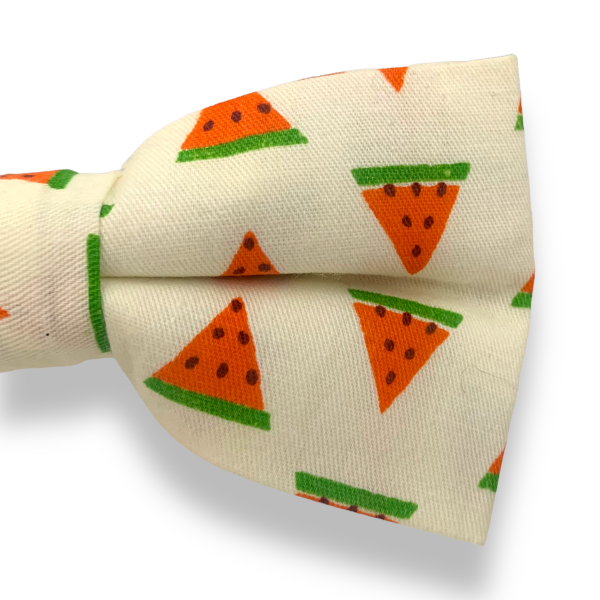 Pánský motýlek Meloun 