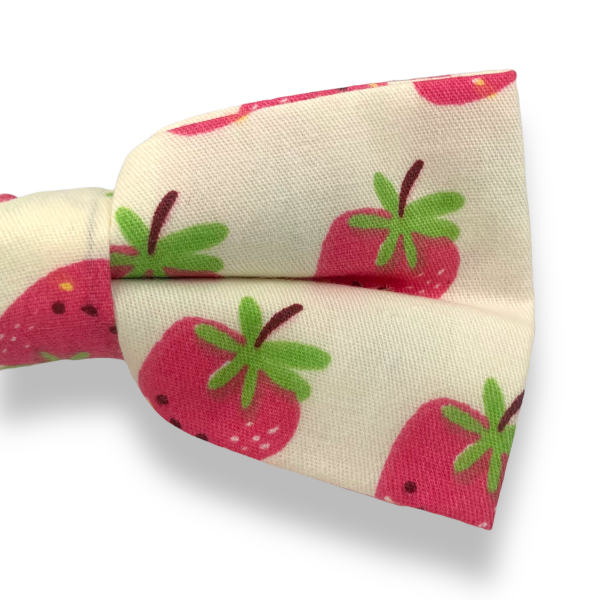 Pánský motýlek Jahoda 