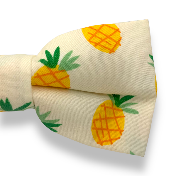 Pánský motýlek Ananas 