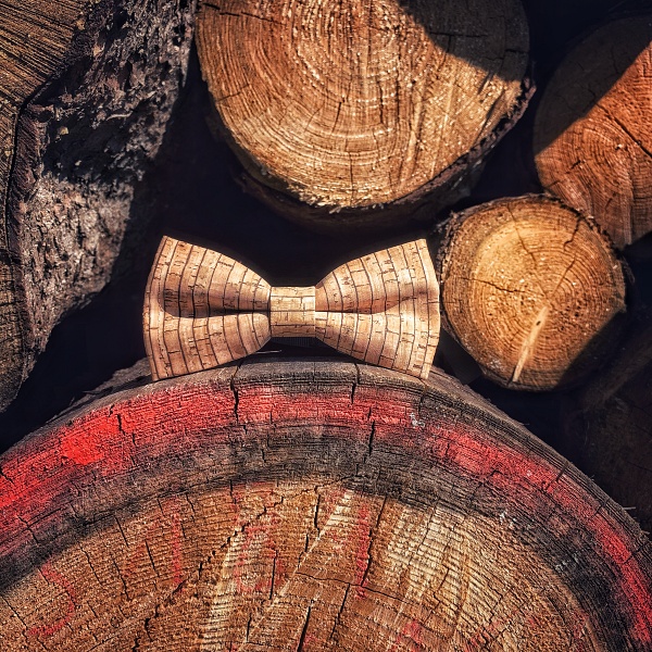 Pánský motýlek Korek Black line 