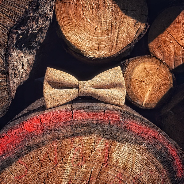 Pánský motýlek Korek Raw