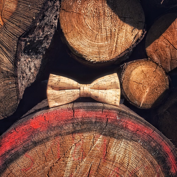 Pánský motýlek Korek Vertical 